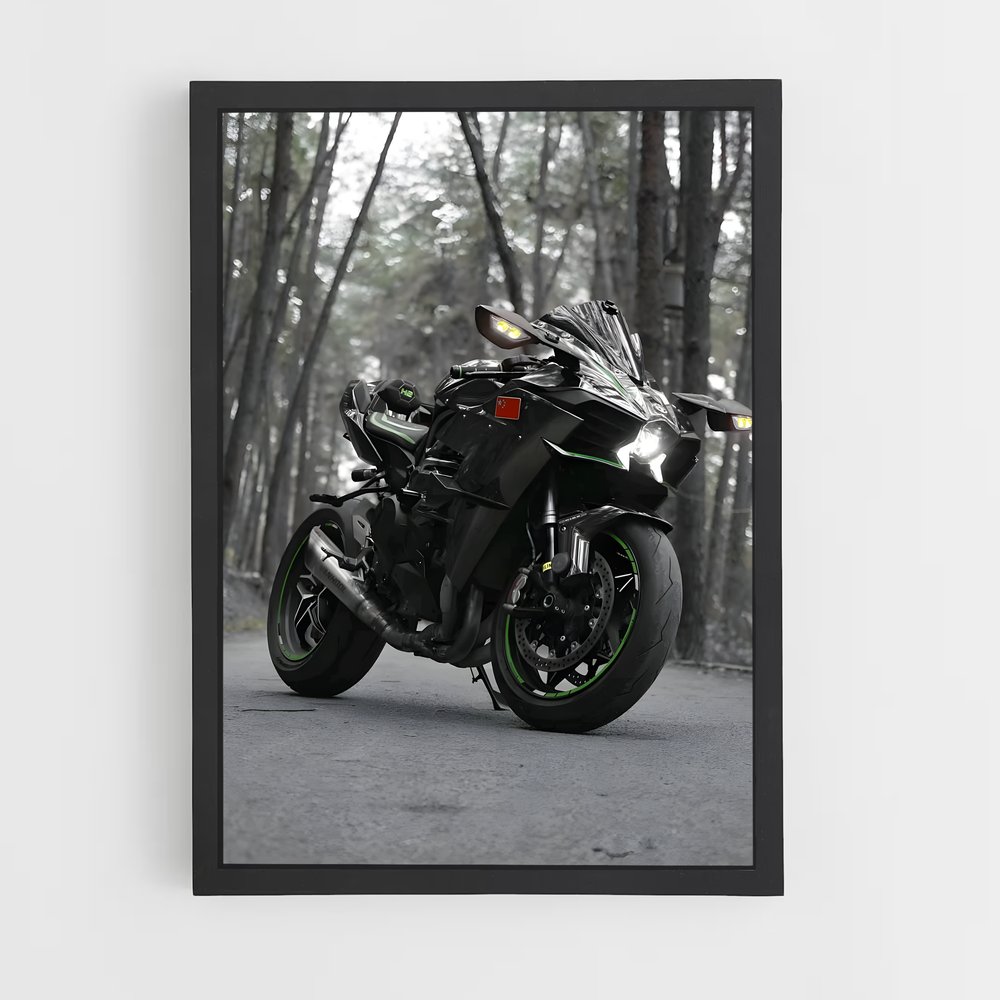 Poster Ninja élégant hr (vue 2)